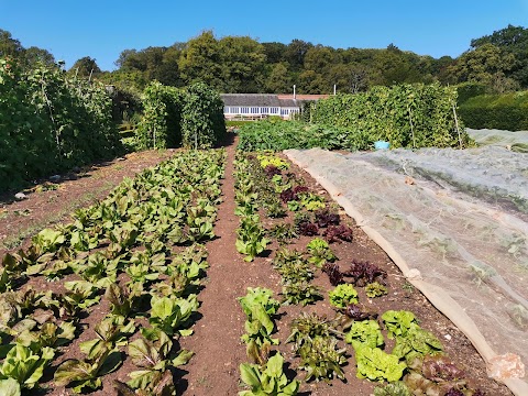 Barley Wood Walled Garden