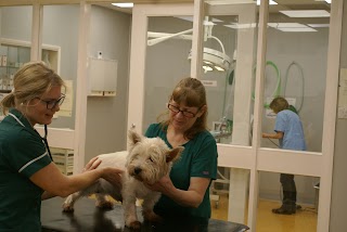 Norwood Veterinary Group