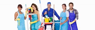 Lincs Domestic Services