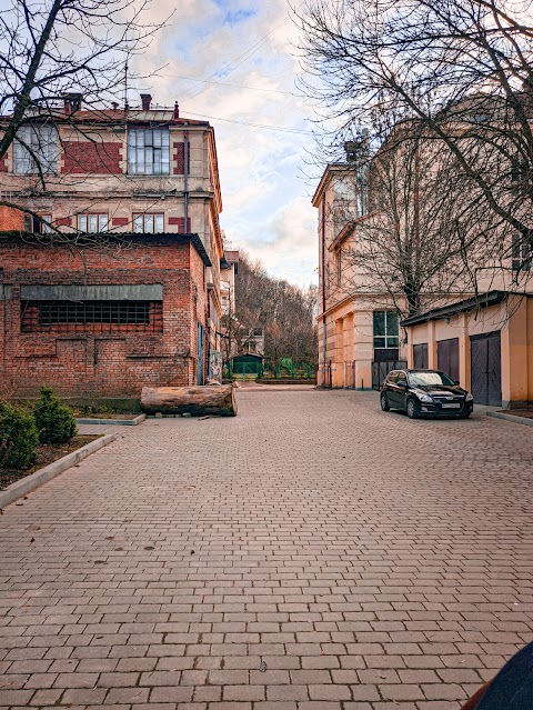 Львівський державний коледж декоративного і ужиткового мистецтва імені Івана Труша