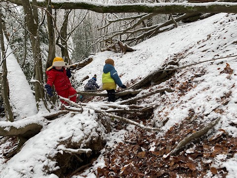 Forest Kindergarten Sevenoaks