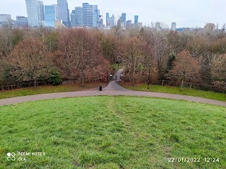 Stave Hill Ecological Park - TCV