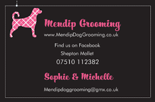 Mendip Grooming