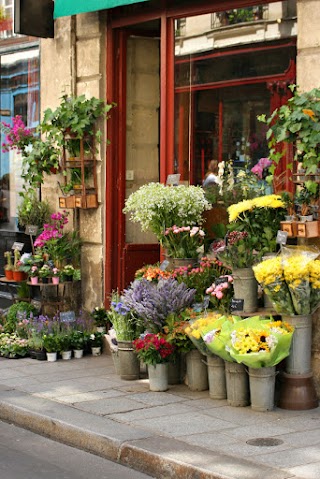 Bloomin and Delightful Flowers