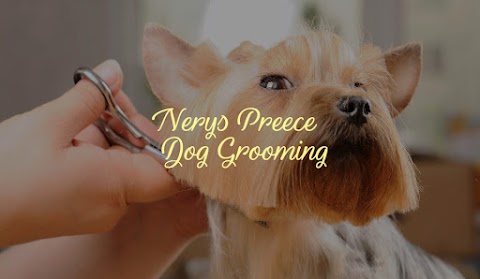 Nerys Preece Dog Grooming