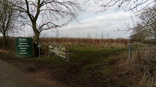 Soar Lane Diamond Wood