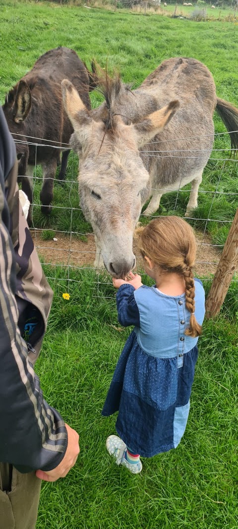 Lakemore Farm Park