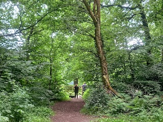 Biddulph Grange Country Park