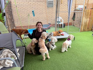 Dogs and Divas Doggy Daycare Trafford Park