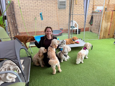 Dogs and Divas Doggy Daycare Trafford Park