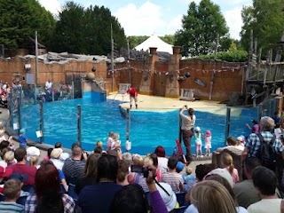 Sea Lion Theatre