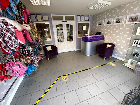 Dolled Up Dogs Grooming Parlour & Spa Ltd