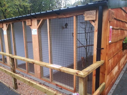 Loch Lomond Bird of Prey Centre