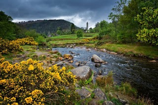 Wicklow Mountains National Park