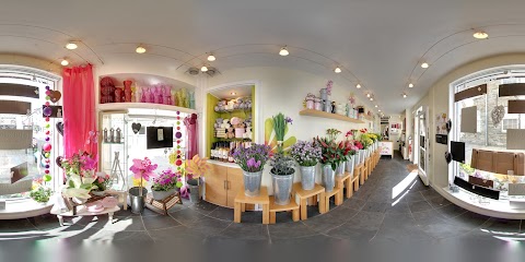 The Bloom Room Florist Wadebridge