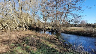 Wellesley Water Meadow