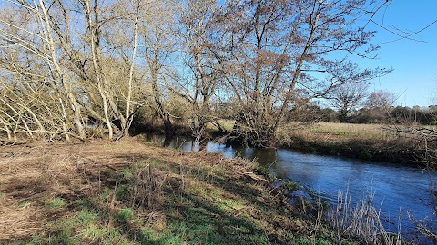 Wellesley Water Meadow