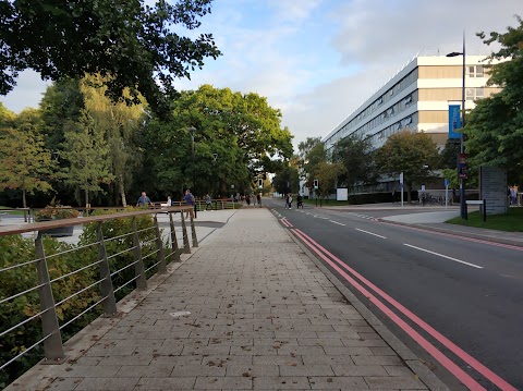 Department of Statistics, University of Warwick