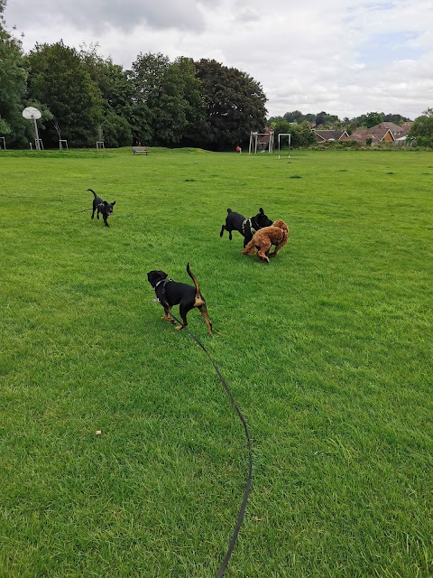 Hairy Poppins Hampshire: Dog Grooming and Day Care