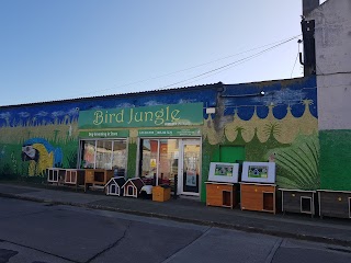 Bird Jungle