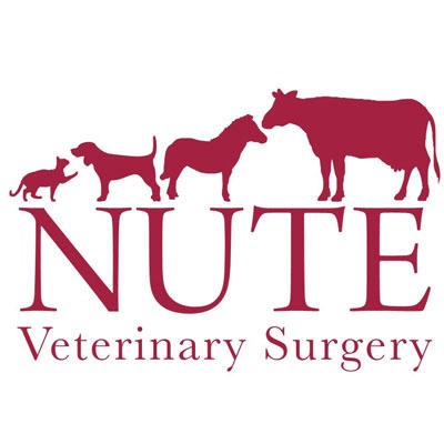 Nute Veterinary Surgery - Wadebridge