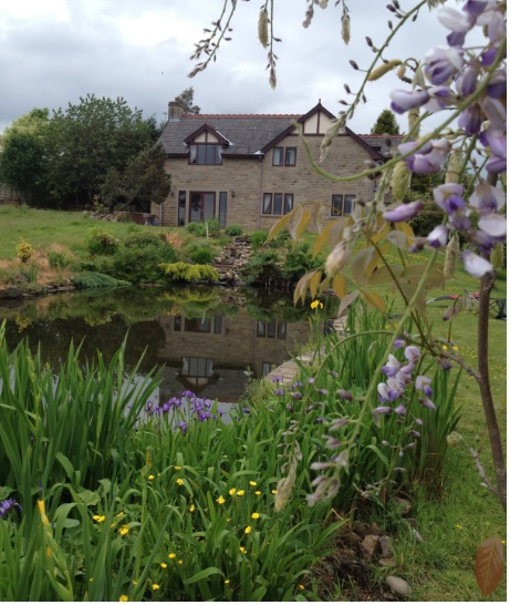 The Smethurst Hall Cat Hotel