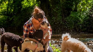 Pawfect Dog Walking & Pet Sitting