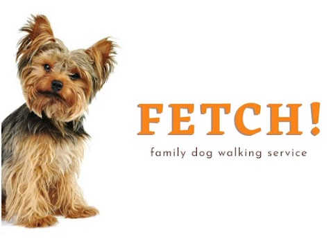 FETCH family dog walking services