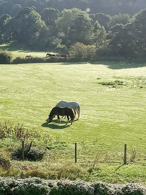 Ford House Farm