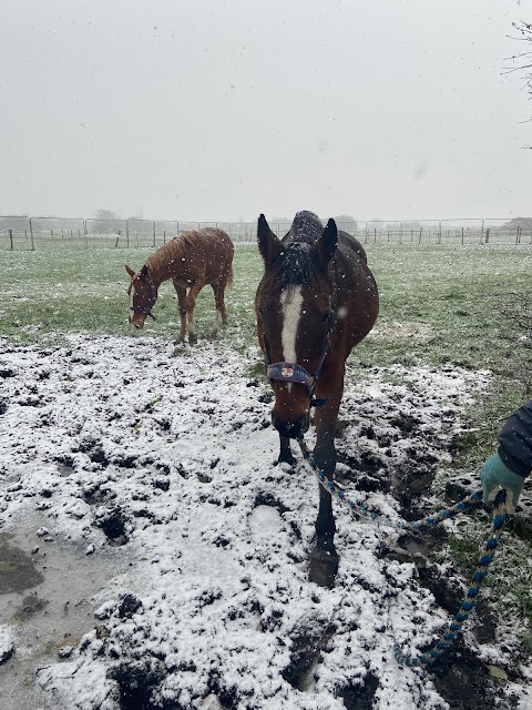 Tunstalls Farm