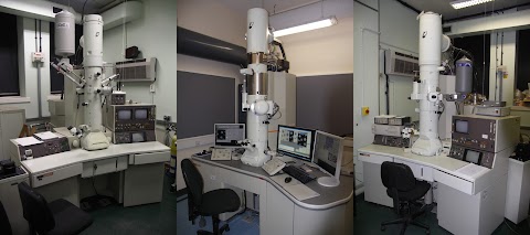 Scanning Electron Microscopy Shared Research Facility (SEM SRF)