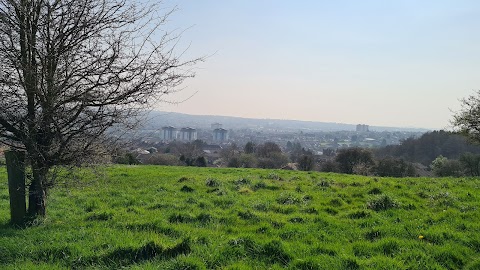 Rowley Hills