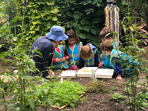 Young England Kindergarten