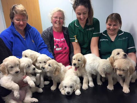 Abbey Veterinary Group, Paisley