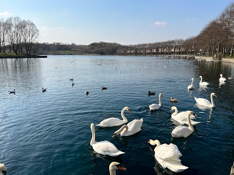 Lakeside Lake