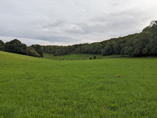 Stanmer Park Nature Reserve