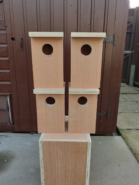 Nest Boxes by James