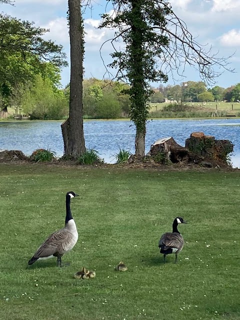 Burton Constable Holiday Park & Arboretum