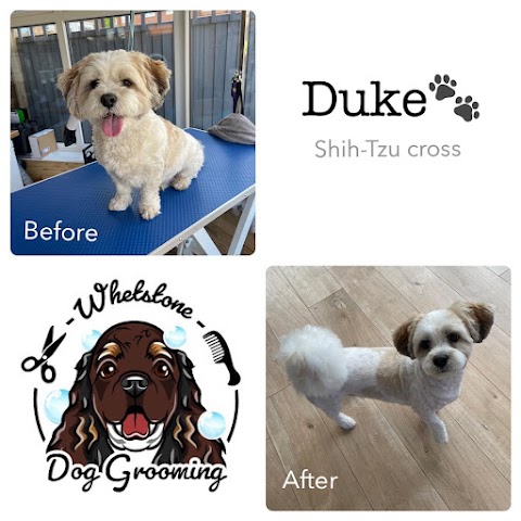 Whetstone Dog Grooming