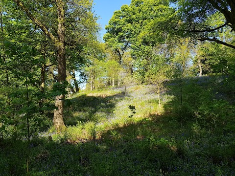 Cumbernauld Glen Wildlife Reserve