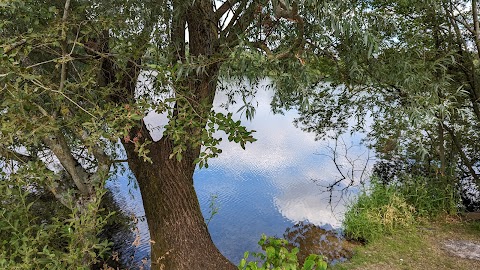 Freeth Mere SSSI nature reserve