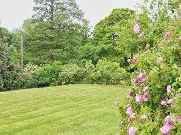 Gatcombe Court Bed and Breakfast