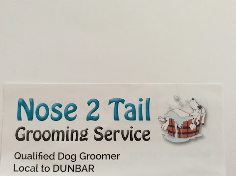 Nose2tail Dog Grooming