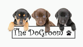 The Dog Room