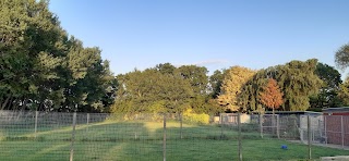 The Paddocks Boarding Kennels & Cattery