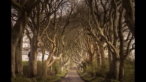 Giant's Causeway Experiences