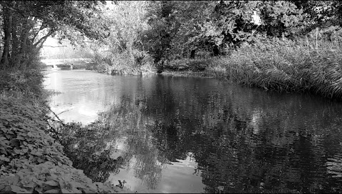 Ringland River Green