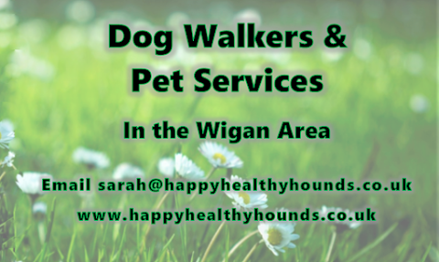 Happy Healthy Hounds - Dog Walkers & Pet Services