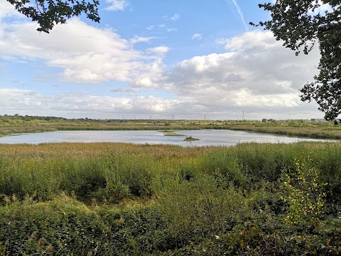 Potteric Carr Nature Reserve