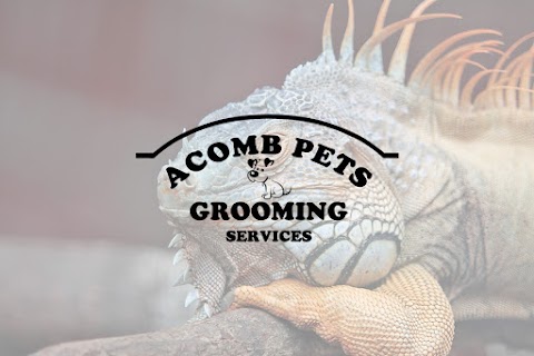 Acomb Pets Aquatics & Reptiles